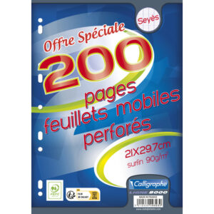 200 Feuilles Simples/Mobiles Perforées A4/21x29.7 (Grand Format) Grands Carreaux Blanches - Calligraphe